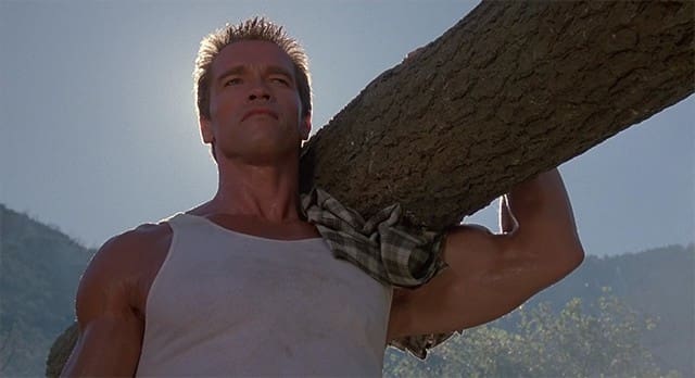 Blog Feature, Tough Guy Carrying Tree