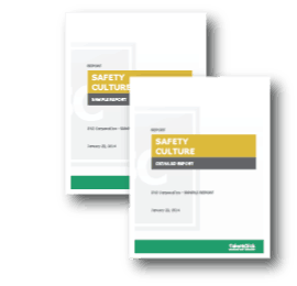 Safety Culture Perception Survey Sample Report